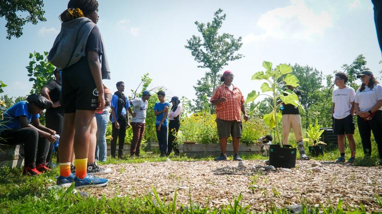 Students from Visions of Science visiting the Indigenous Garden at UTSC Urban Farm