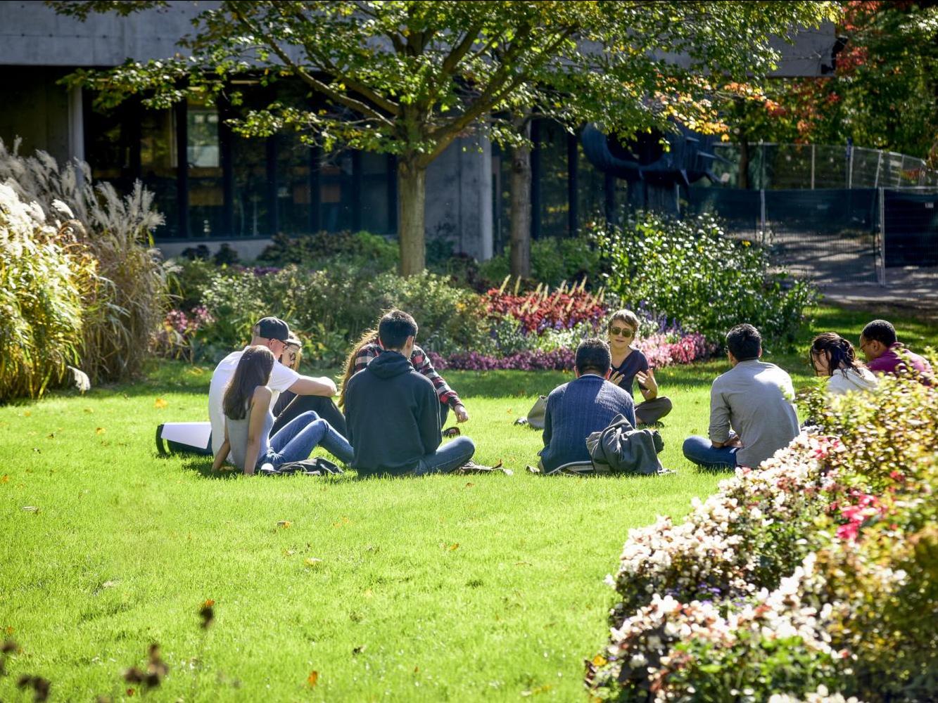 students sitting in a circle on the grass