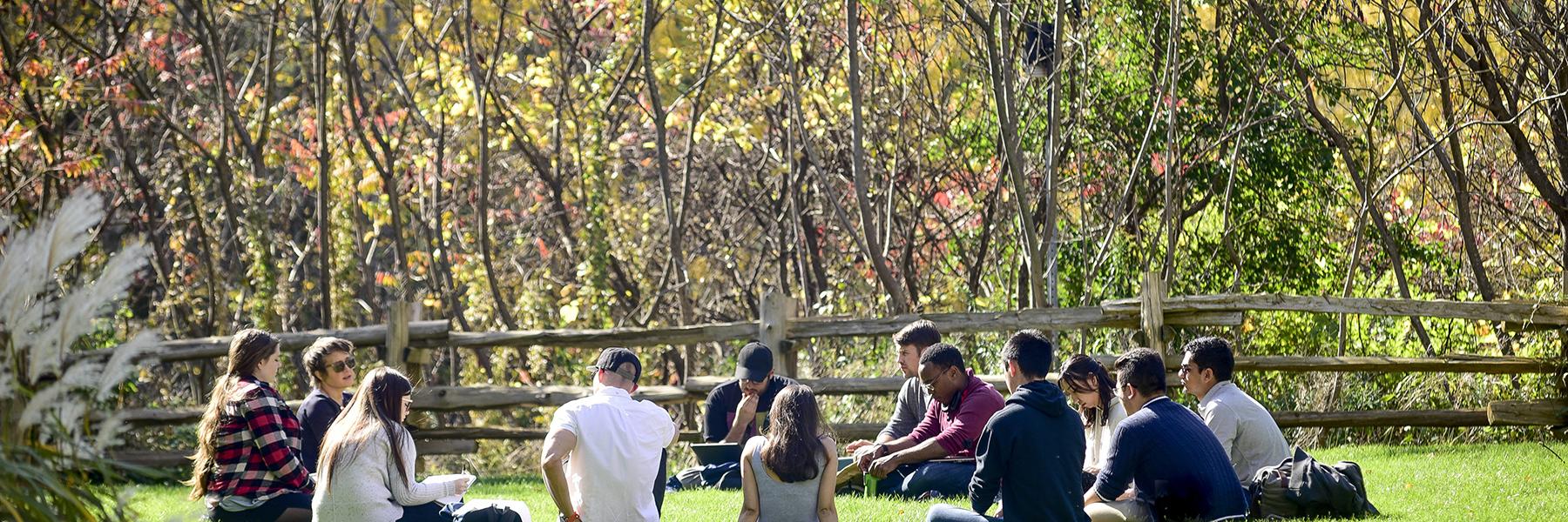 students sitting in a circle in the grass