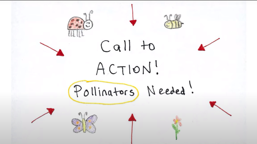 Call to action - pollinators needed