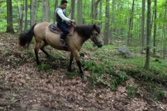 Riding like a pro in the woods