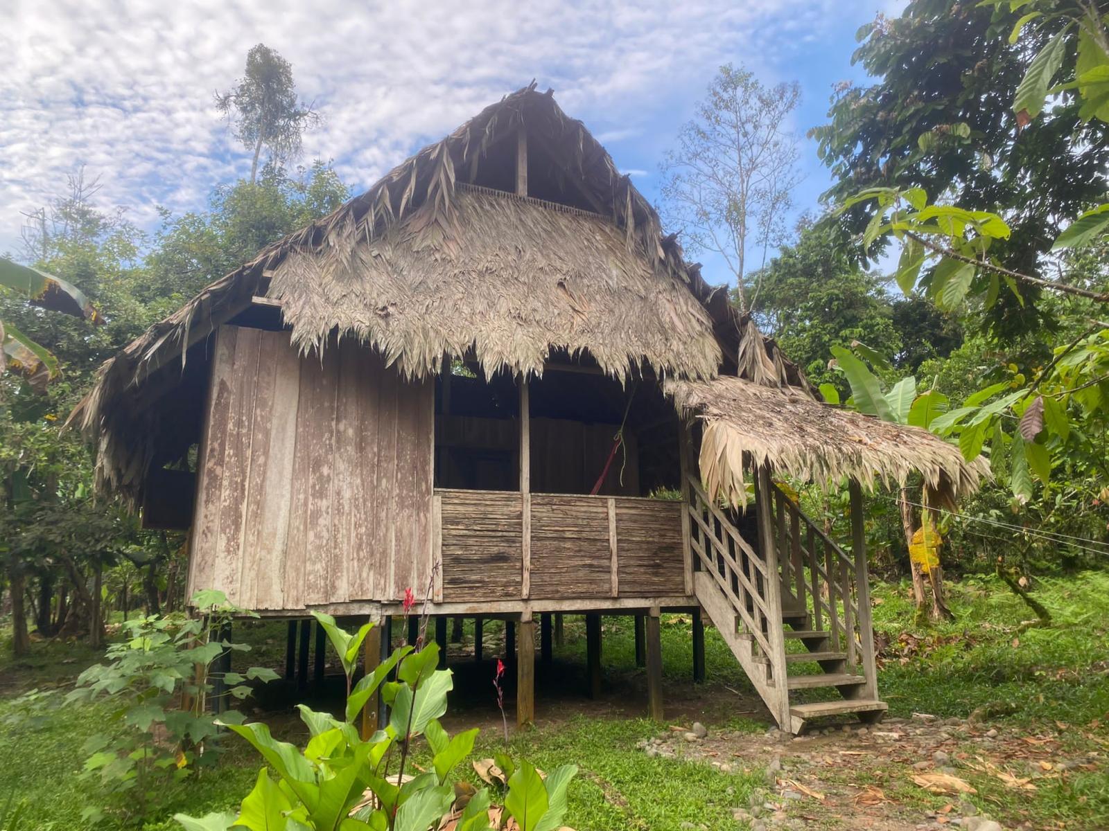 One example of BriBri Traditional Housing (the roof is also made with the special palm leaf)