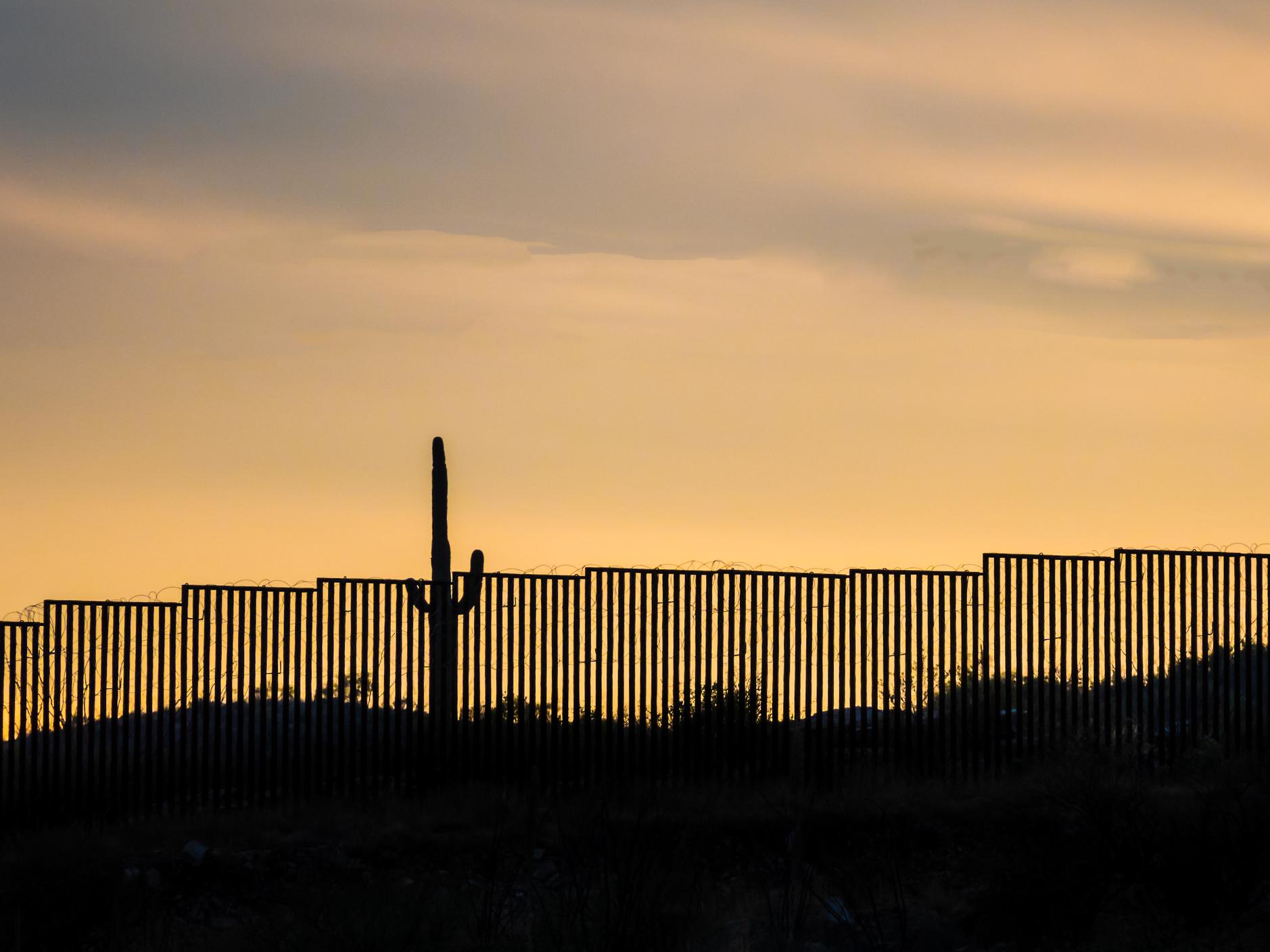 A silhouette of the US-Mexico border wall at sunset, along with a large cactus